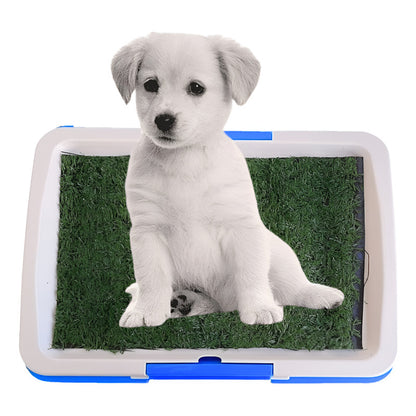 Baño Ecológico Para Perros Gatos Sanitario Ecológico Perros Azul Celeste