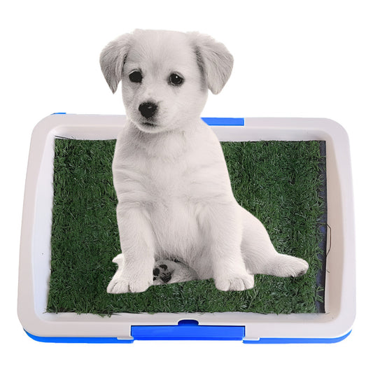 Baño Ecológico Para Perros Gatos Sanitario Ecológico Perros Azul Celeste