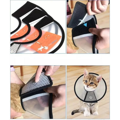 X3 Collar Isabelino Perro Collar Isabelino Gato Collar 3