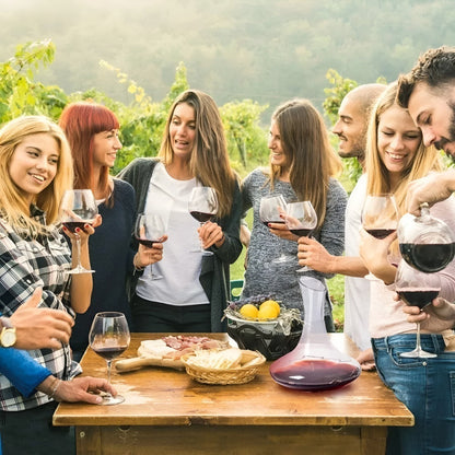 X5 Decantador Vino Aireador Decantador Para Vino  Aireador