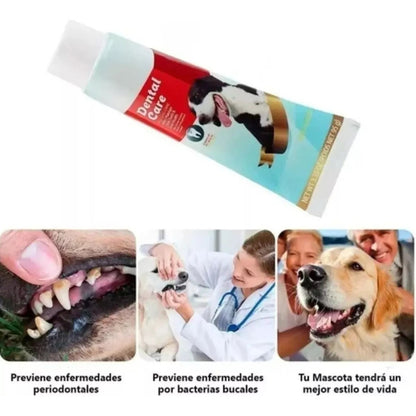 Pasta De Dientes Para Perros Pasta Dientes Perro Pasta Dient Carne