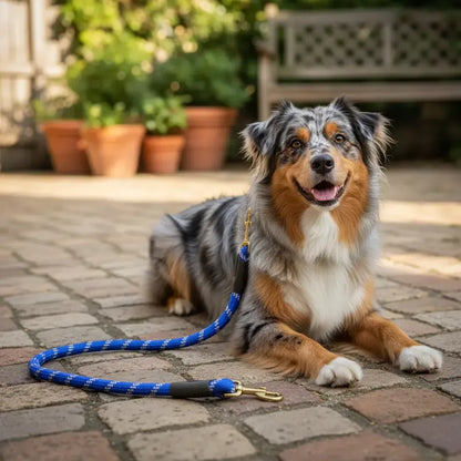 Correa Resistente Para Perro Correa Accesorio De Mascota Azul