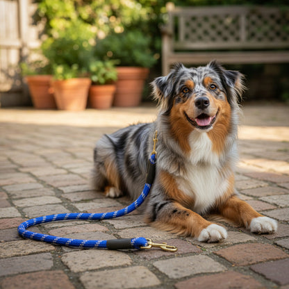 Correa Resistente Para Perro Correa Accesorio De Mascota Azul