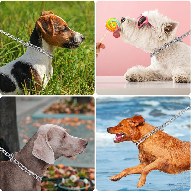 Collar Adiestramiento Perro Collar De Adiestramiento 50cm