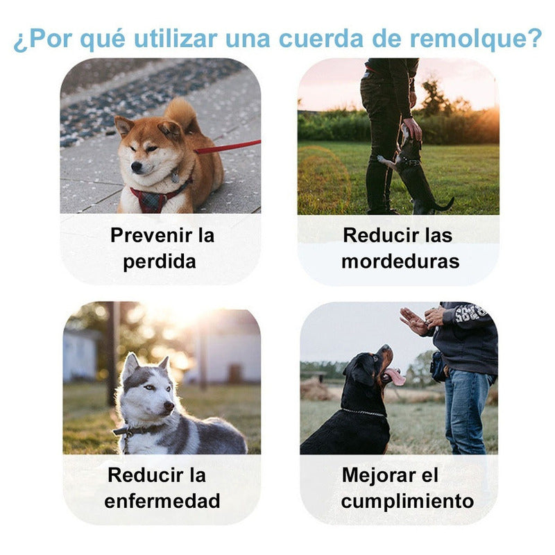 5m Mascota Correa Correa Retractil Perro Correa Para Gato