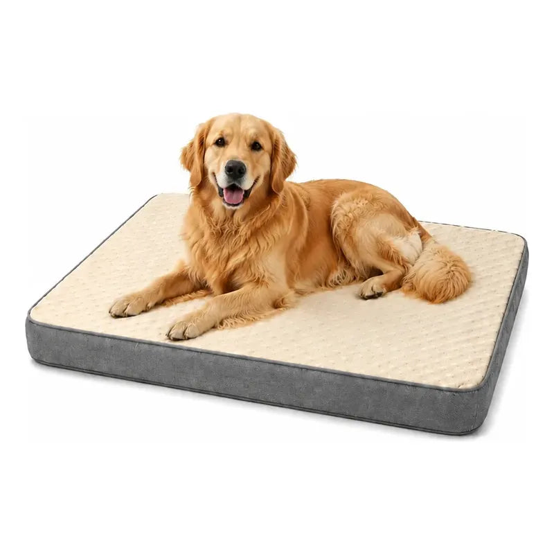 Cama Mascotas Perros Acolchada Resistente Lavable 90x72cm Color Beige