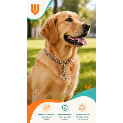 Collar Metalico Fuerte Argolla Seguridad Paseo Firme Mascota Plateado 50cm