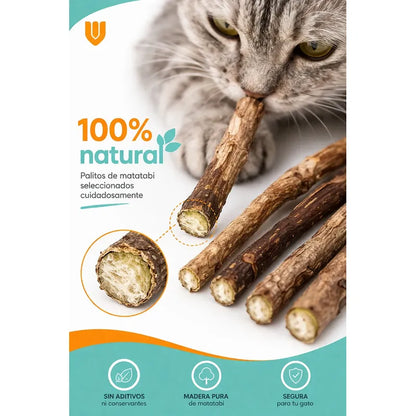 X20 Palitos Hierba Gatera Yerba Gatera Juguete Para Gatos Marrón