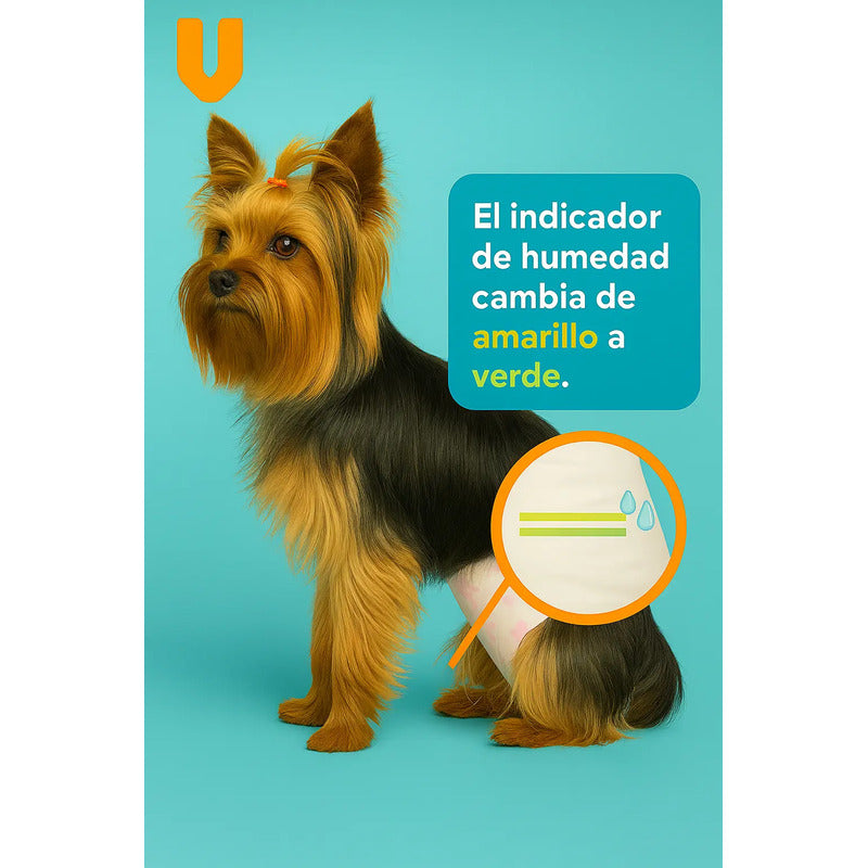 20 Pañales Perro Gato Xs Incontinencia Antifuga Macho Hembra Blanco Xs