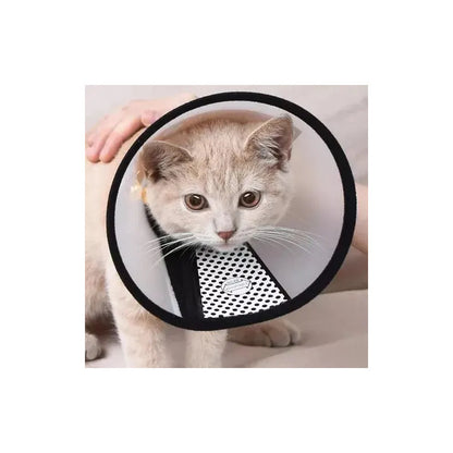 X3 Collar Isabelino Perro Collar Isabelino Gato Collar 3