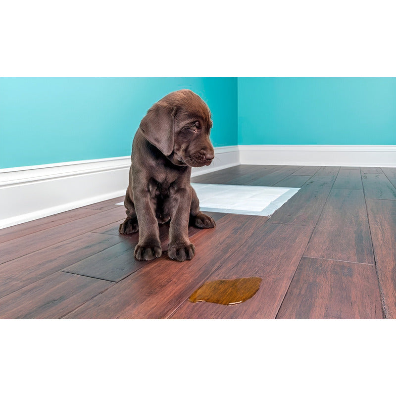 X2 Eliminador De Olores Eliminador Y Destructor De Olores