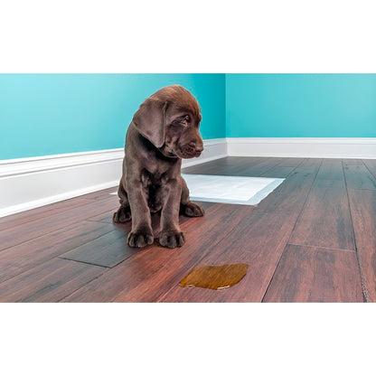 X2 Eliminador De Olores Eliminador Y Destructor De Olores