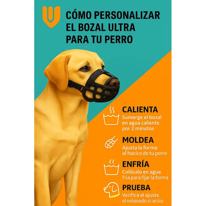 X2 Bozal Perro Grandes Bozal Perros Bozal Perro Grande Xl
