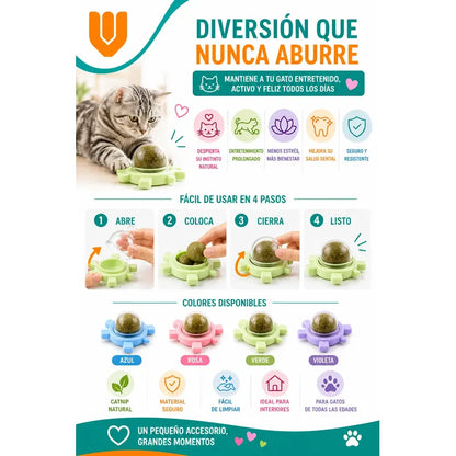 Hierba Gatera Felino Diversion Reduce Ansiedad Juego Activo Multicolor Brillante Mezcla Colores Vivos Alta Visibilidad Entrenamiento Mascotas Diseño Moderno Visual Atractivo Facil Ubicar