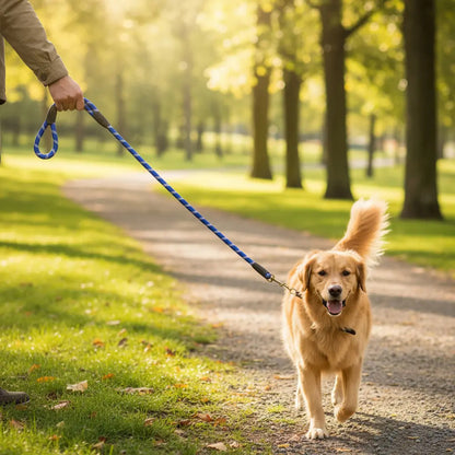 Correa Resistente Para Perro Correa Accesorio De Mascota Azul