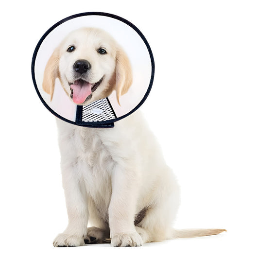 Collar Isabelino Para Mascotas Collar Isabelino Perro 10 Cm