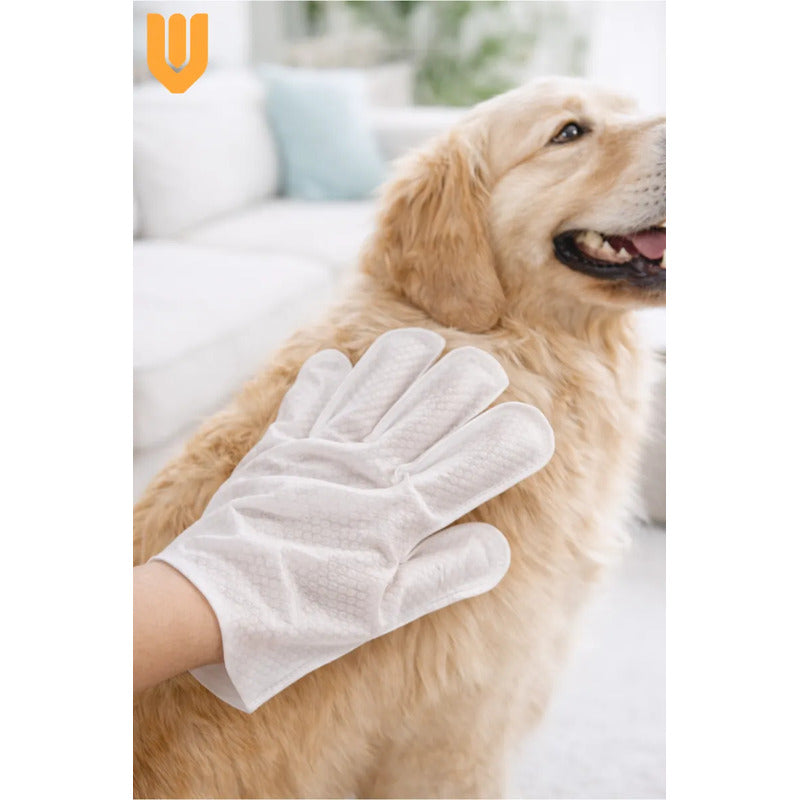 Toallas Desechables Humedas Guante Limpieza Mascota 6 Pieza Toallas Humedas Desechables Guante Limpieza Mascotas Higiene Rapida Suave Humectante Portatil Seis Unidades Cuidado