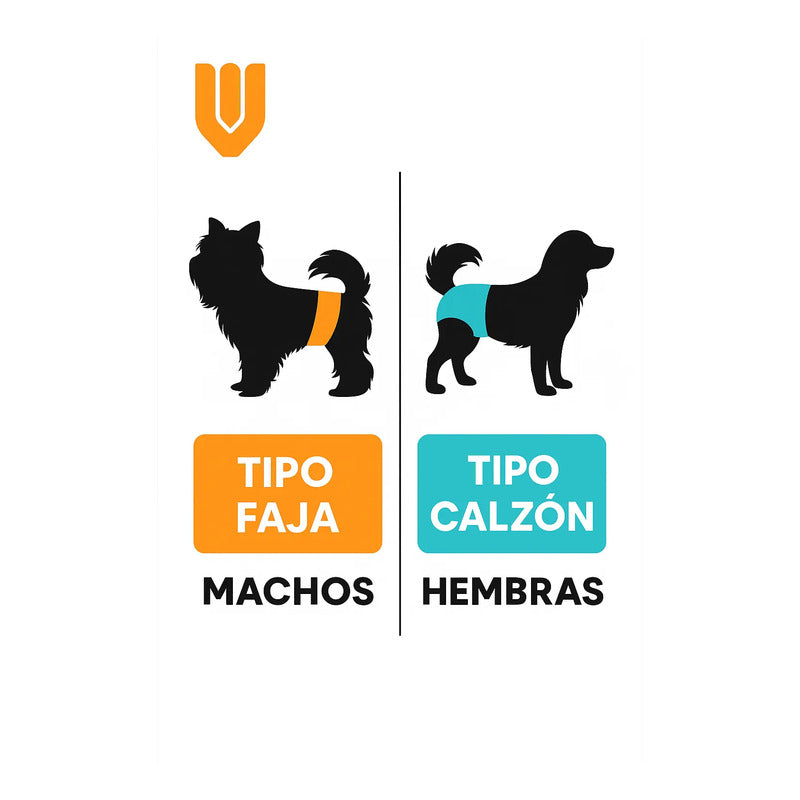 X200 Pañales Desechables Perros Hembra Perro Gato Mascota S Blanco S