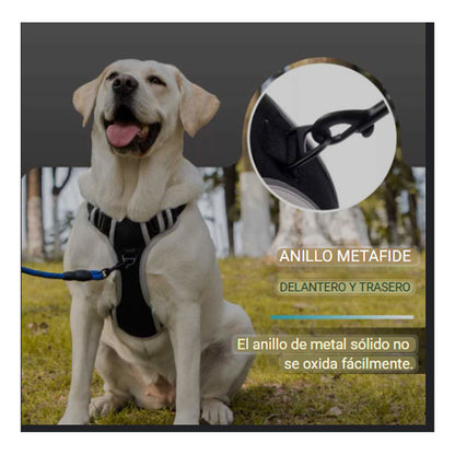 Arnes Para Perro Arnés Anti Tirones Perro Arnes Ajustable