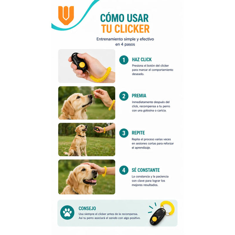 Dispositivo Refuerzo Positivo Mascotas Educacion Conducta Multicolor Vibrante Combinacion Tonos Llamativos Alta Visibilidad Entrenamiento Mascotas Diseño Moderno Visual Atractivo