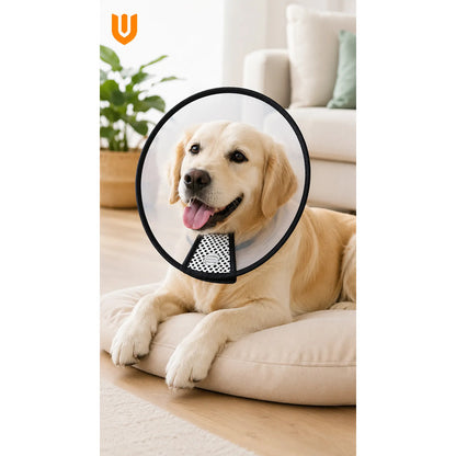 Collar Clinico Antimordidas Recuperacion Animal Isabelino Collar Isabelino Recuperacion Quirurgica Mascotas Grandes Protector Veterinario Ajustable Premium Talla 2 Grande Mascotas Perros Gatos...