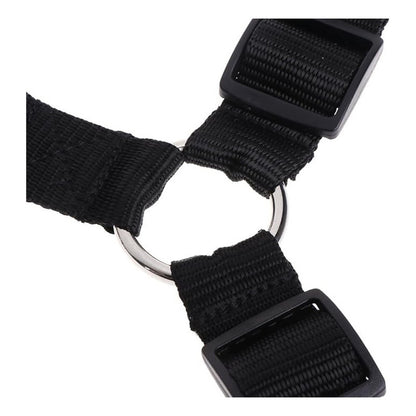 Cinturón De Seguridad Auto Perro Correa Cinturón 2 En 1