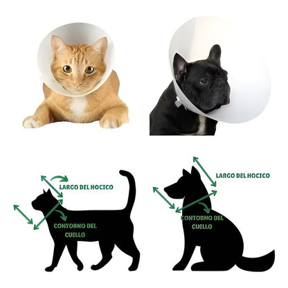 Collar Isabelino Perro Gato 10cm Cono Ajustable Transparente