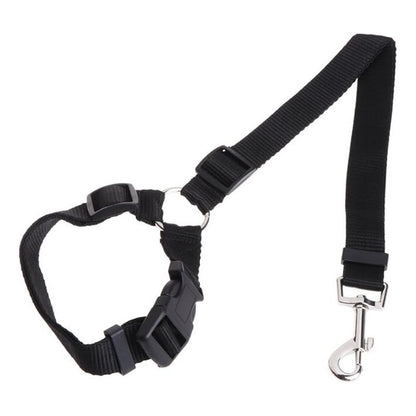 Cinturón De Seguridad Auto Perro Correa Cinturón 2 En 1