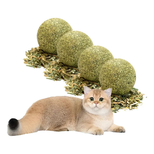X4 Bola Catnip Para Gatos Juguetes De Gato Snack Para Gatos X4 Catnip Verde X-313