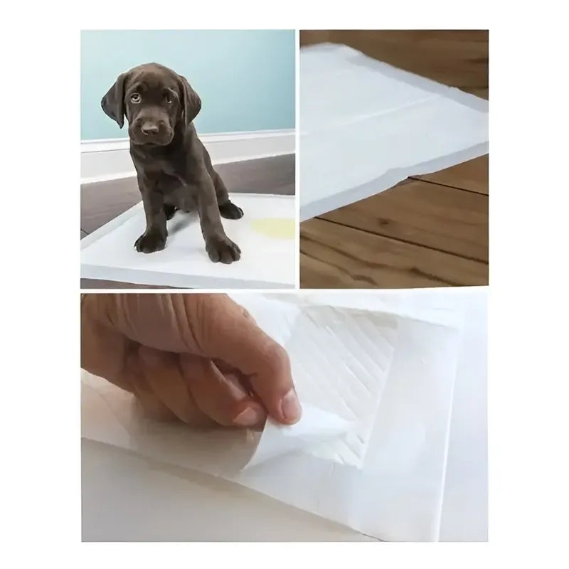 X50 Baño De Perro Sabanilla Perro Paños De Perros 45x60cm