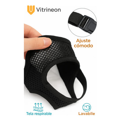 Calzon Perros Celo Calzones Reutilizables 3 Repuestos Pañal