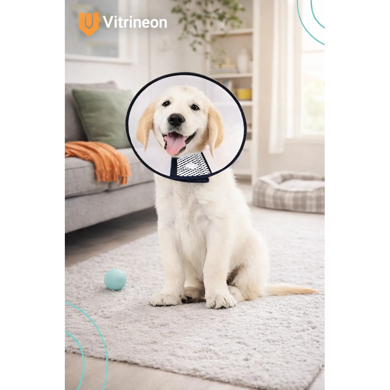 Collar Isabelino Perro Collar Isabelino Gato Collar Perro 2 Blanco-negro Collar Isabelino Talla 2 40-35cm