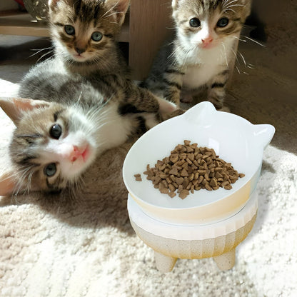 X2 Plato Alto Inclinable Plato Comida Perro Plato Mascota