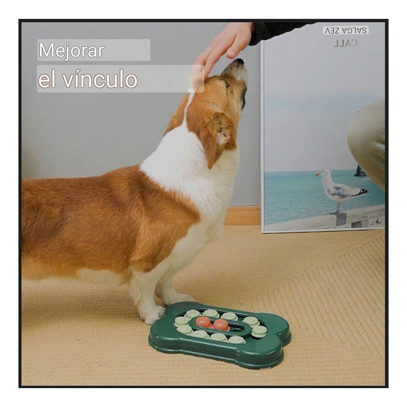 Plato Puzzle Plato Perro Ansioso Dispensador De Comida