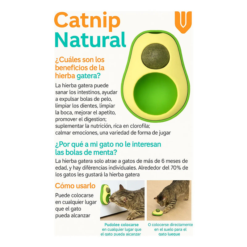 Hierba Gatera Avocado + 4 Bola Gatera Catnip Para Gatos X4 C X4 Catnip Verde X-313