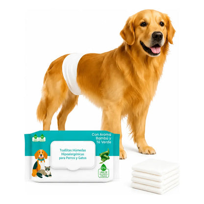 Combo Toallas Humedas 50und + Pañales Perro Macho M 12und Bl M Blanco Principal Combo Higiene Mascota Pañales Absorbentes... Blanco Principal Combo Higiene Mascota Pañales Absorbentes Toallas...
