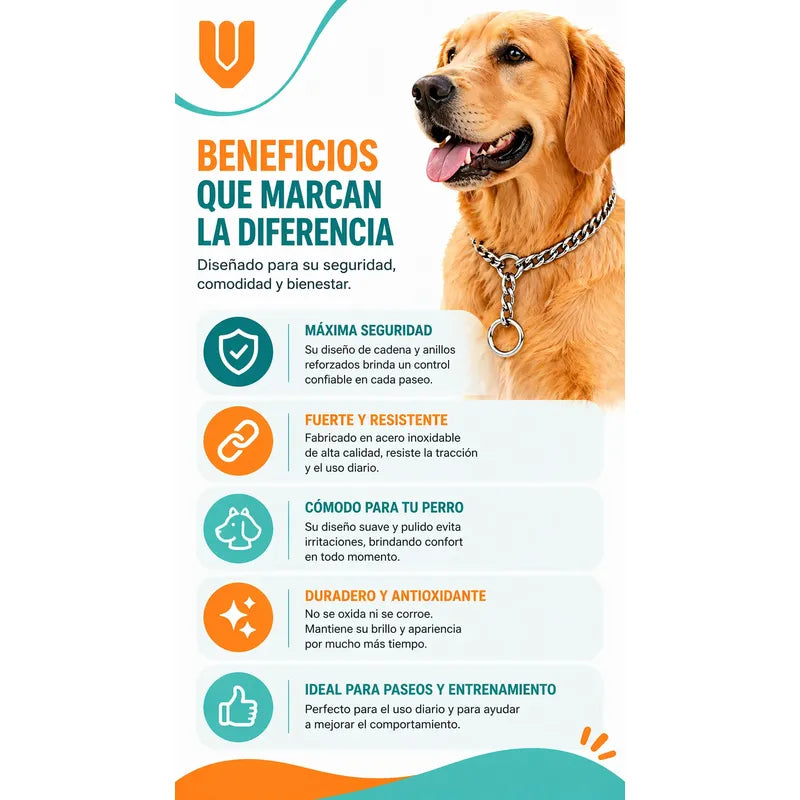 Collar Metalico Fuerte Argolla Seguridad Paseo Firme Mascota Plateado 50cm