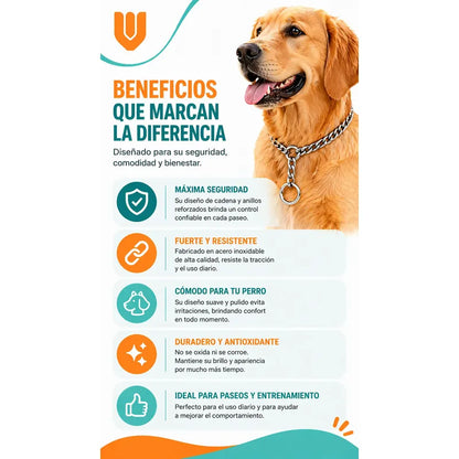 Collar Metalico Fuerte Argolla Seguridad Paseo Firme Mascota Plateado 50cm