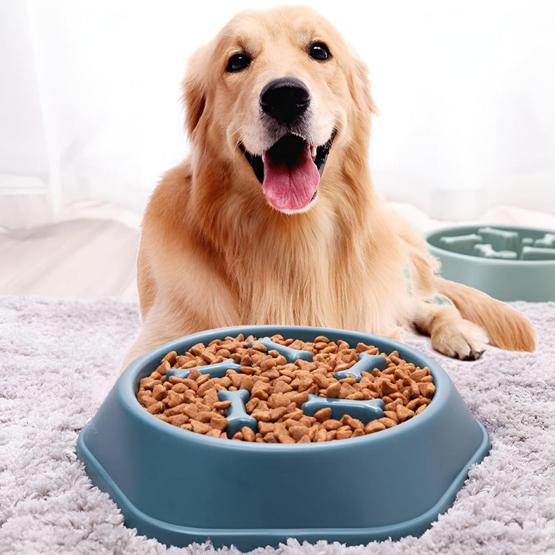 Per-ros Plato De Comida Antiansiedad Mascotas Huesitos Perros Gatos Color Amarillo