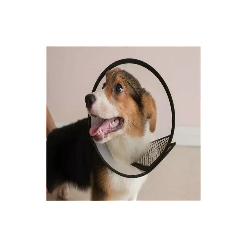 Collar Isabelino Perro Collar Isabelino Gato Collar Perro Talla 4 Collar Isabelino Perro Gato Mascotas Collar Heridas Isabelino Vitrineon Cl  Color Blanco-negro Tamaño Del Collar Talla 4 26-30