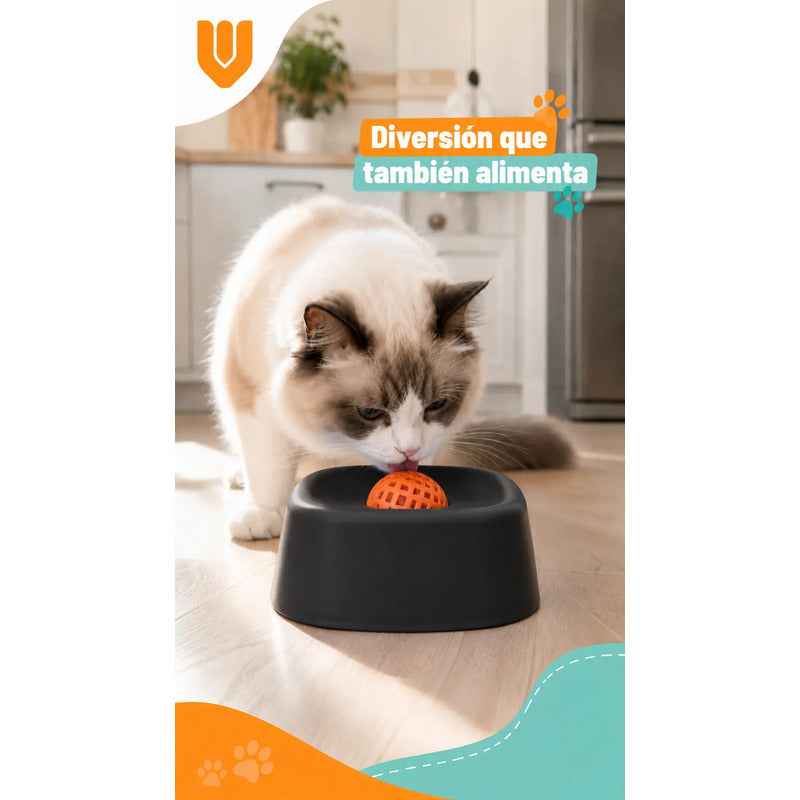 Dispensador Alimento Perros Plato Anti Ansiedad Mascota Negro