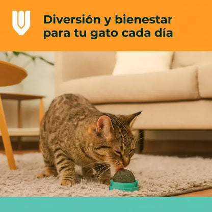 Vitrineon Bola Compacta Plastico Resistente Actividad Sensor Palta