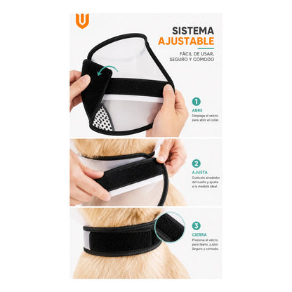 Cono Isabelino Veterinario Canino Felino Postoperatorio Collar Isabelino Recuperacion Quirurgica Mascotas Grandes Protector Veterinario Ajustable Premium Talla 2 Grande Mascotas Perros Gatos...
