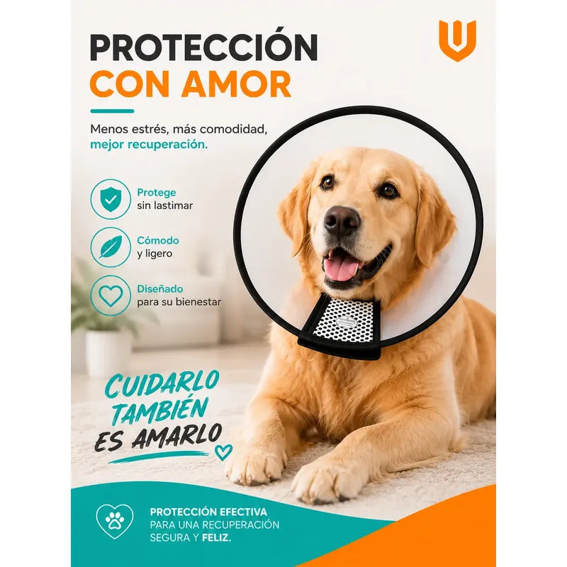 Collar Cono Isabelino Mascotas  Recuperacion Antilamido Collar Isabelino Recuperacion Quirurgica Mascotas Grandes Protector Veterinario Ajustable Premium Talla 2 Grande Mascotas Perros Gatos...
