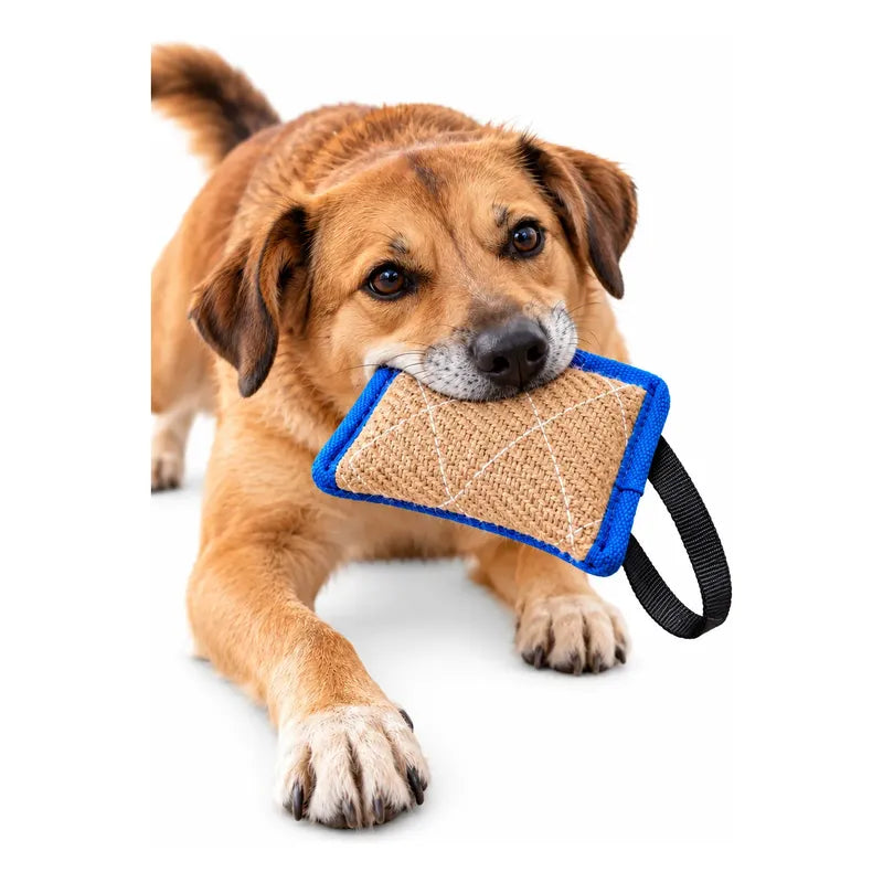 Mordedor Yute Perro Asa Juego Interactivo Adiestramiento Beige Natural Mordedor Canino Yute Asa Negra Cuerpo Compacto Rectangular Juego Interactivo Trama Visible