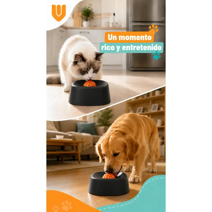 Dispensador Alimento Perros Plato Anti Ansiedad Mascota Negro