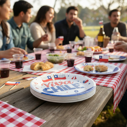 X20 Platos Fiestas Patrias Desechables Decoración Fiestas