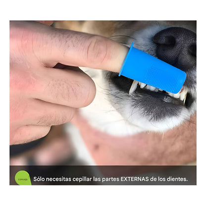 Cepillo Y Pasta De Dientes Perro Pasta Dientes Mascotas
