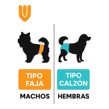 22 Pañales Perro Macho Pañal Faja Hembra Calzon Perro Gato L