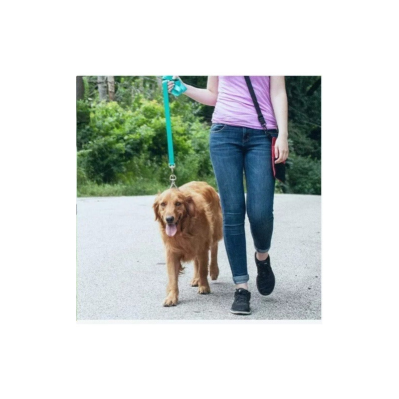 Collar De Adiestramiento Collar Adiestramiento Perro 60 Cm Plateado 60 Cm